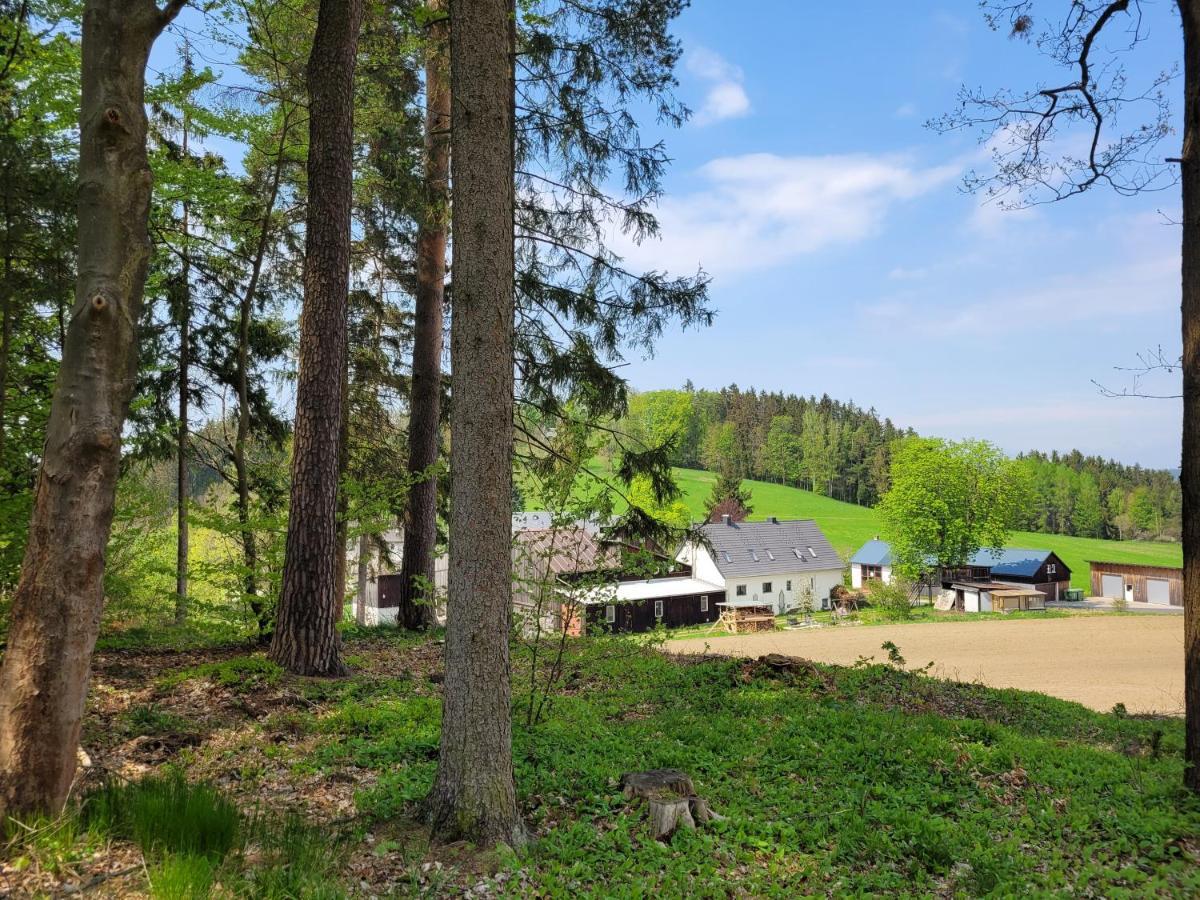 Ruhig Gelegene, Top Moderne Ferienwohnung - Hot Tub Und Sauna Gegen Aufpreis Neuhaus an Der Eger Eksteriør bilde